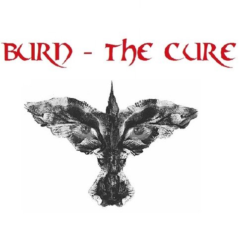 Cure Burn  Facts Beyond the Film
