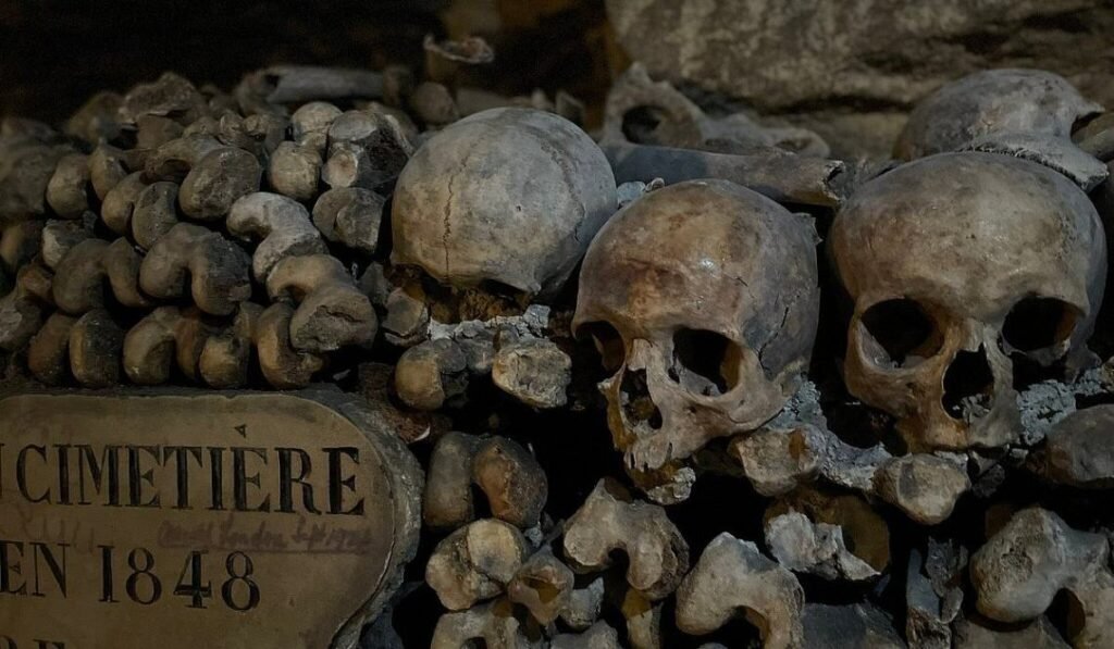 Skull Cleaner at Paris Creepy Career
