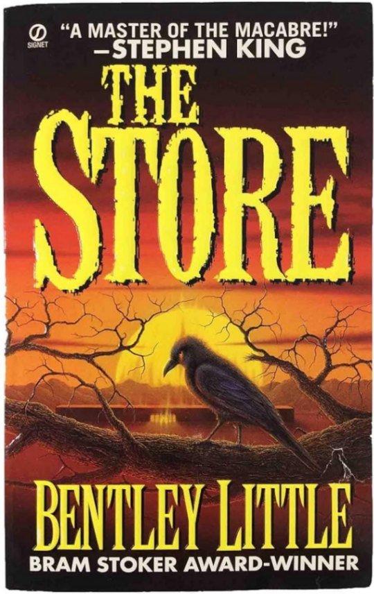 The Store by Bentley Little horror books for struggling readers